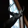 Shawn Sennett - @boostedbeefy - TikTok