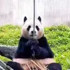 s_xsusu - @seo.shawn - TikTok