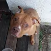 dashawnsessions - @dashawnsessions - TikTok