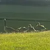 Shawn  Sessions - @shawn.sessions0 - TikTok