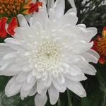 shawnseth - @shawnseth3 - Instagram