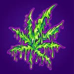 Shane severance - @shane.severance - Instagram