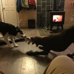 Shawn Seward - Facebook