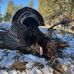 Shawn Seward - Facebook