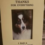 Shawn Shaffer - @shawnfshaffer74 - Instagram