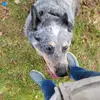 Shawn Shahan78 - @shawnshahan78 - TikTok