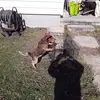 shawnshahan819 - @shawnshahan819 - TikTok