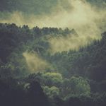 shawn shaji - @shaw_n7414 - Instagram