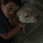 Shawn Shank - @shankman1234 - Instagram