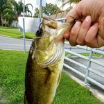 shawn shank - @ace_shank - Instagram