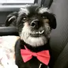 shawnshanle - @shawnshanle - TikTok