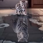 Shawn Shao - @shawn.shao.750 - Instagram