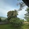 Shawn Shao - @shawn.shao138 - TikTok