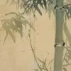 Shawn Shao - @shawn.shao57 - TikTok