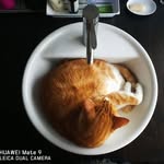 Shawn Shao - @syq20071212 - Instagram