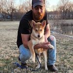 Shawn Shapel - @shawnshapel - Instagram