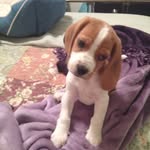 Shawn shields - @lvmomma53 - Instagram