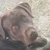 Shawn Short - @shawn.short18 - TikTok