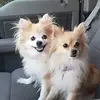 shawnshubert331 - @shawnshubert331 - TikTok