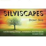 Shawn Silvis - @silviscapes - Instagram