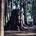 Shawn Soto - Facebook