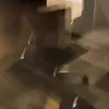 shawnsoto18 - @sms.3020 - TikTok