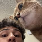 Shane Sowers - @mightbeshane - Instagram
