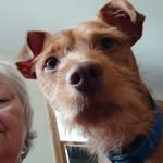 Shawn Sowers - @sowers_s - Instagram