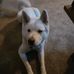 Shawn Springer - Facebook