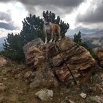 Shawn Springer - @shawn.springer - Instagram