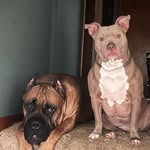 Shawn Sprinkle-Blackburn - @shawn_blackburn00 - Instagram
