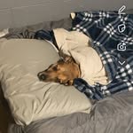 Shawn staats - @staats5730 - Instagram
