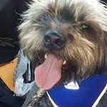 Shawna Staats - @shawnastaats - Instagram