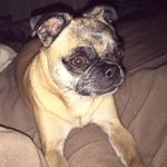 Tia Richards - @shawnstalker1222 - Instagram