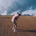 Shaun Stanek - Facebook