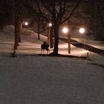 Sh_ilo - @shawnstarner - Instagram