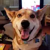 shawnsteadman7 - @shawnsteadman7 - TikTok