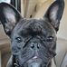 Shawna M Steelman - Facebook