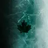 shawn.stitt0427 - @jacob70925 - TikTok