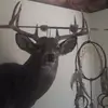 Shawn Stocks - @shawn.stocks - TikTok