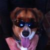shawnstotts956 - @shawnstotts956 - TikTok