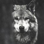 Shawn Stover - @shawn.stover.5602 - Instagram