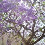 Shawn Strain - @shawn.strain.100 - Instagram