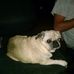 Shawn Stringer - Facebook