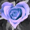 ShawnBergstrom19174 - @shawnbergstrom19174 - TikTok