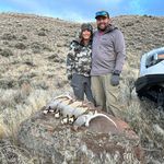 Shawn Strong - @shawnstrong84 - Instagram