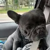 Shawn Struble - @shawn.struble - TikTok