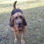 Shawn Sturtevant - @shawnsturtevant - Instagram