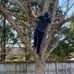 ShawnRyan Tatum - Facebook