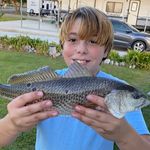 Shawn Thibodeaux - @shawn_thibodeaux - Instagram